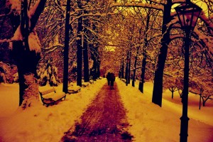 Lomography Redscale Film Lomography Redscale Film