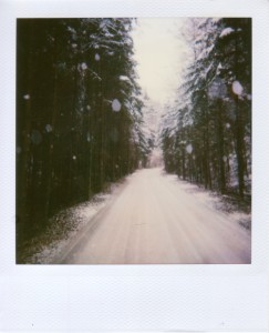 Original Polaroid 600er Original Polaroid 600er